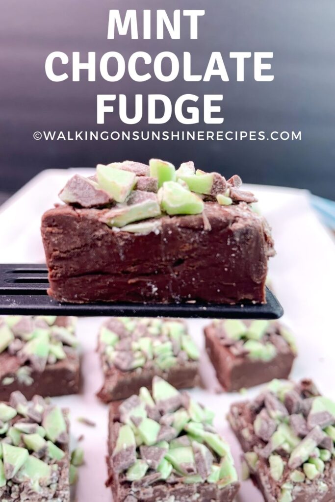 mint chocolate fudge on spatula.