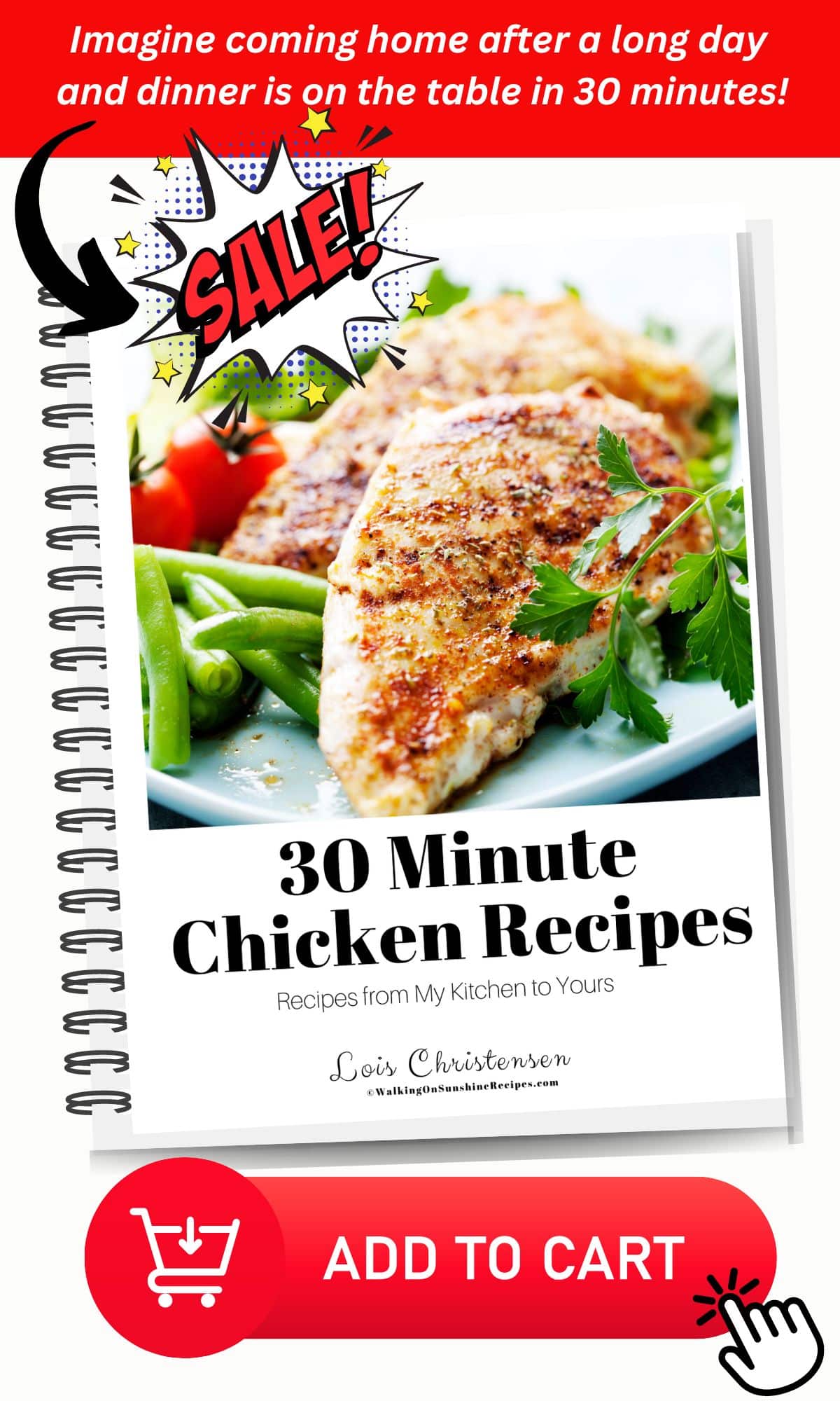 https://walkingonsunshinerecipes.com/wp-content/uploads/2021/04/1200X2000-WOS-30-Minute-Chicken-Recipes-ggnoads.jpg-LONG-Blog-Promo.jpg