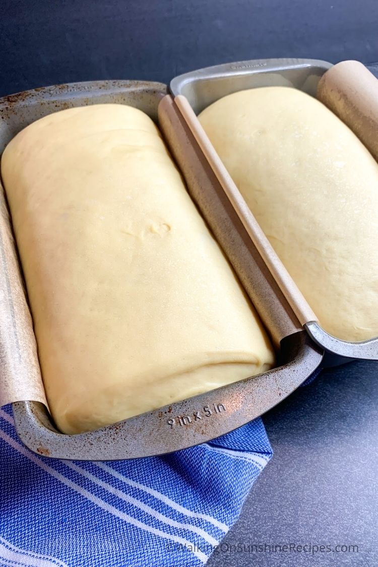 2 loaf pans with bread dough. 