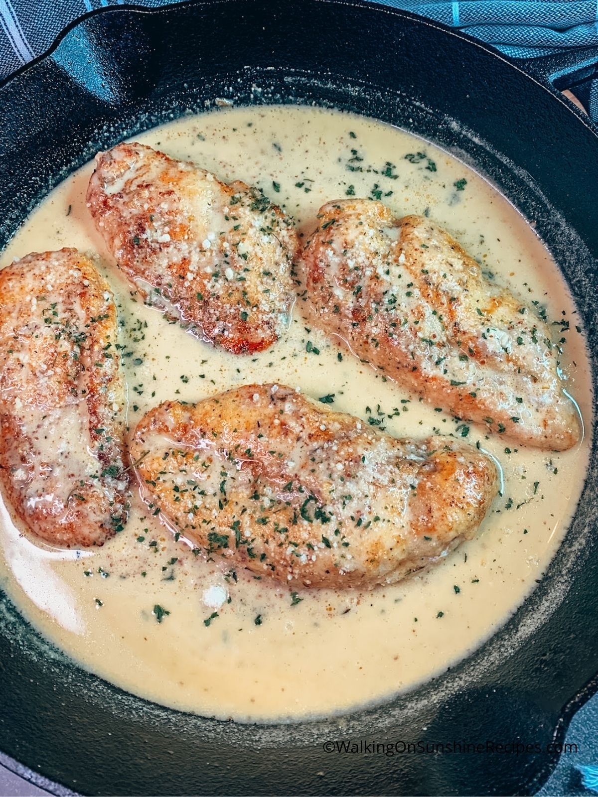 Chicken in Creamy Sauce.