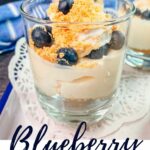 Blueberry Cheesecake Pudding