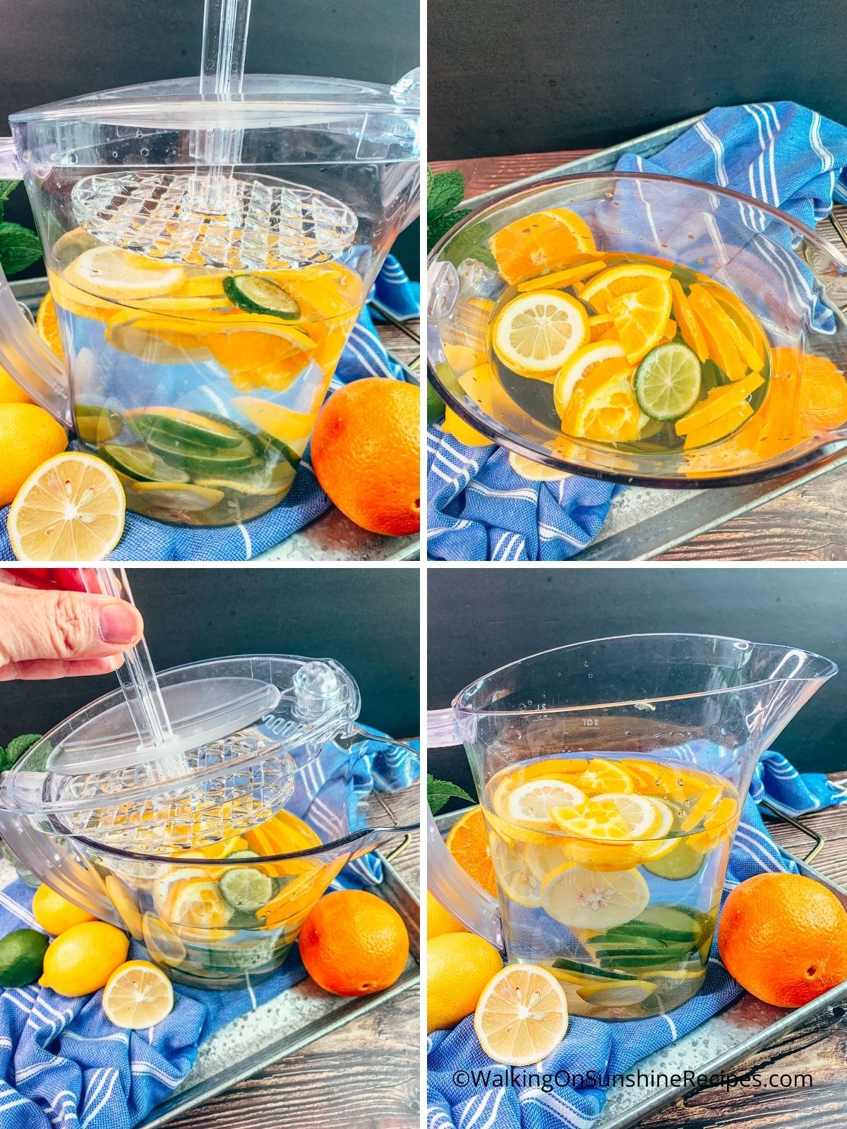 sliced fruit in immersion pitcher of water.