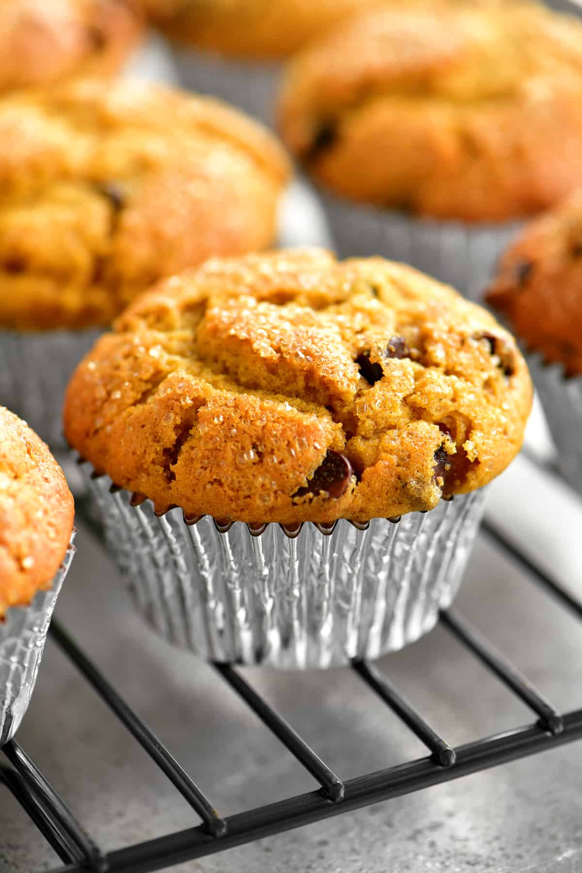 Pumpkin Muffins