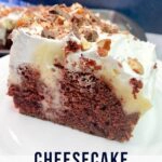 Cheesecake Pudding Cake