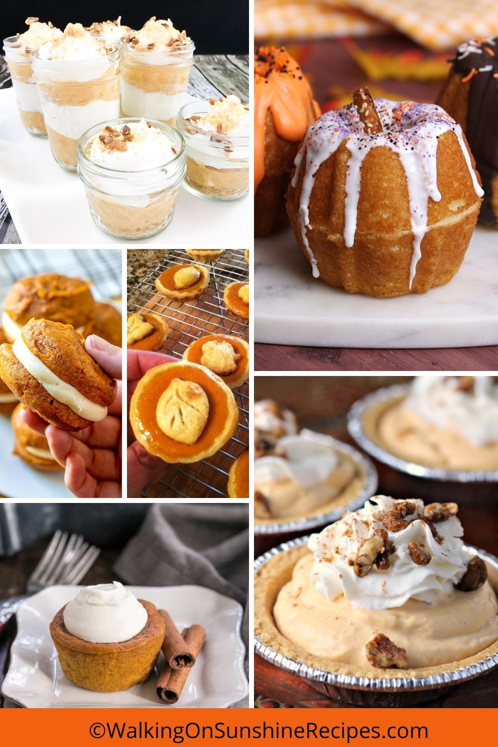 A collection of individual pumpkin recipes.