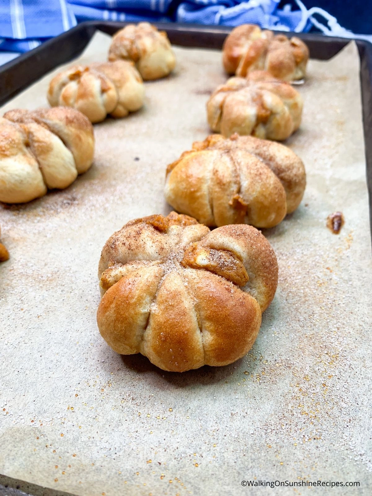 Baked pumpkin crescent rolls.