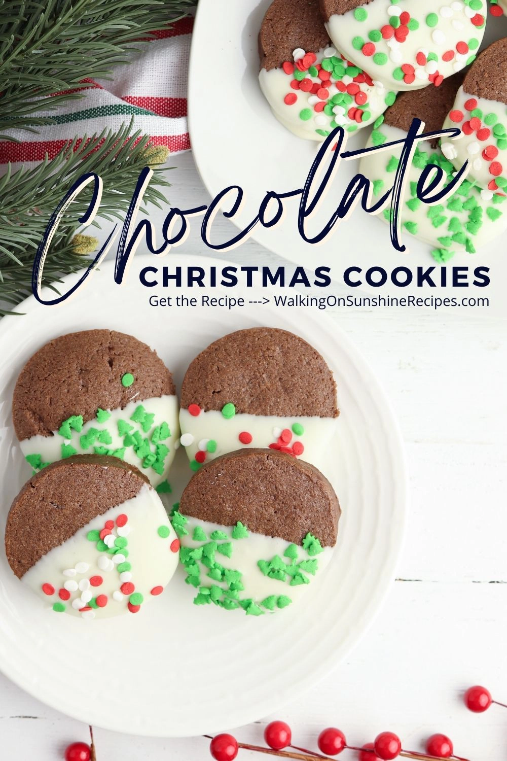 Chocolate Christmas Cookies Pin 6