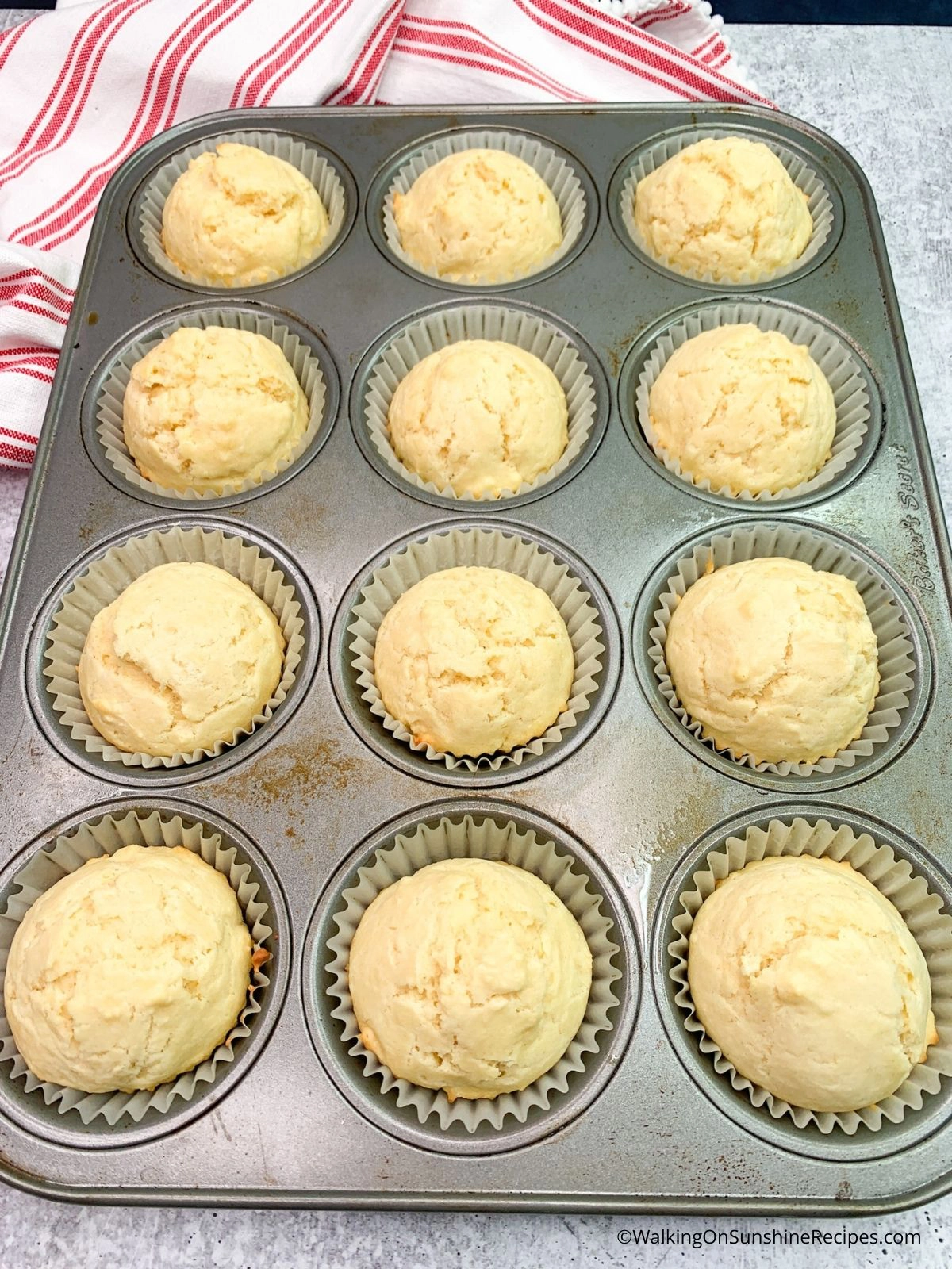 Basic Muffins Baked.