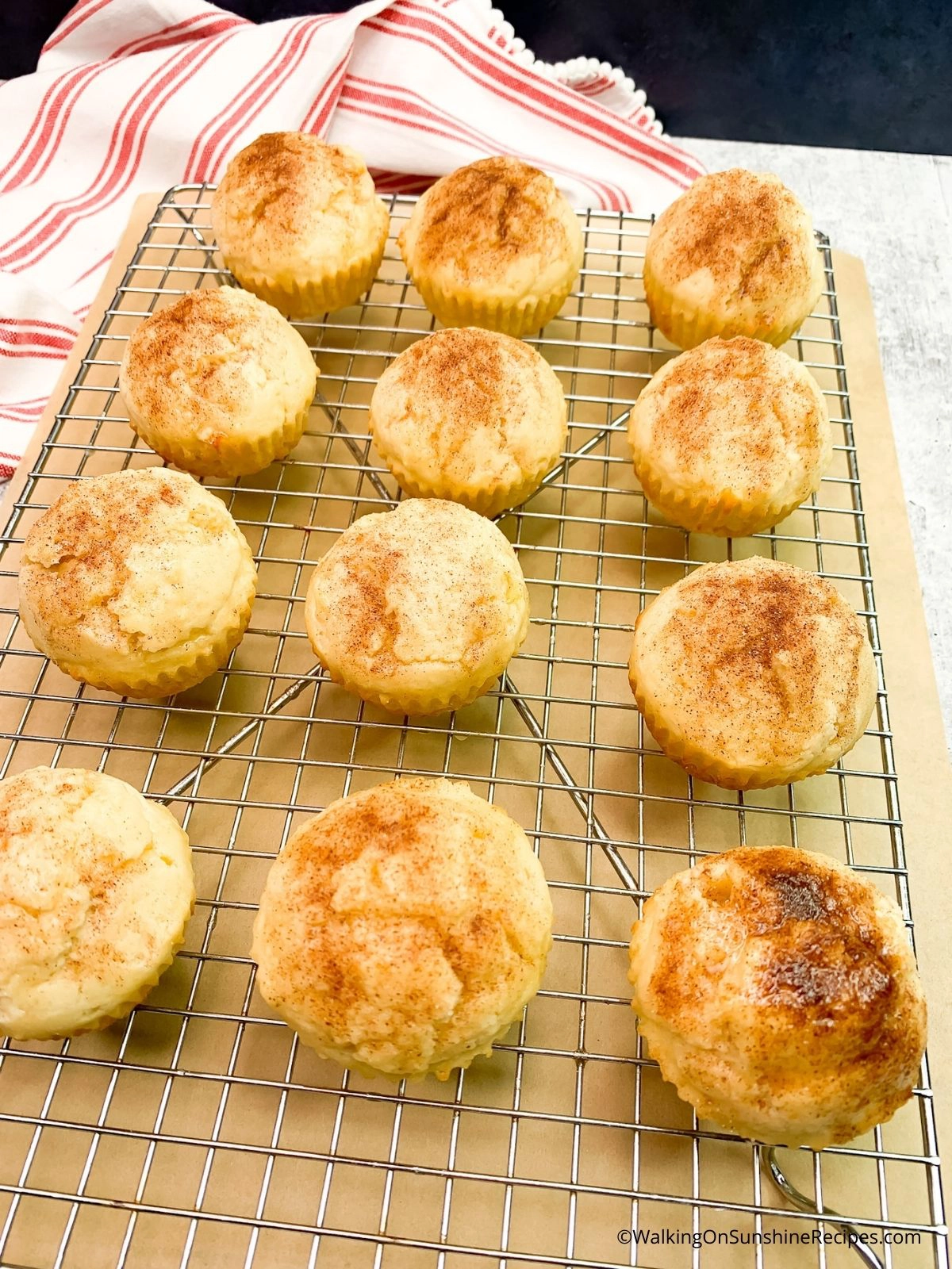 Basic Muffins with Cinnamon Sugar on top.