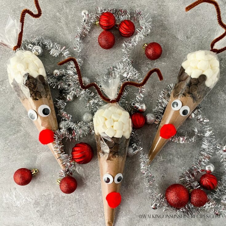 Reindeer Hot Chocolate Cone Bags - Walking on Sunshine