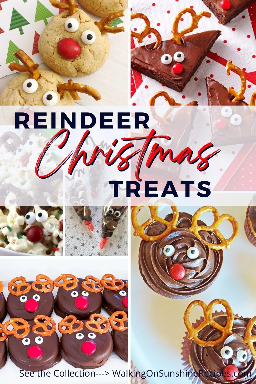 A collection of reindeer treats and desserts for Christmas. 