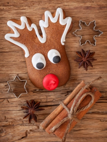 Reindeer Christmas Treats-cover image