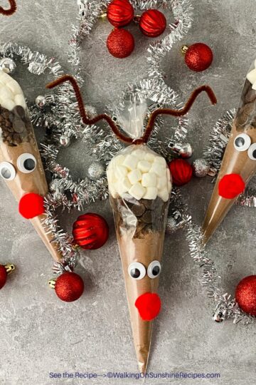 Reindeer Hot Chocolate Cone Bags - Walking on Sunshine