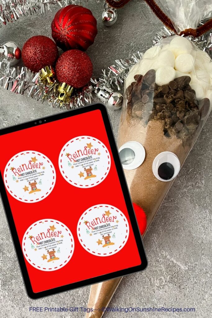 Reindeer Hot Chocolate Cone Tags Pin