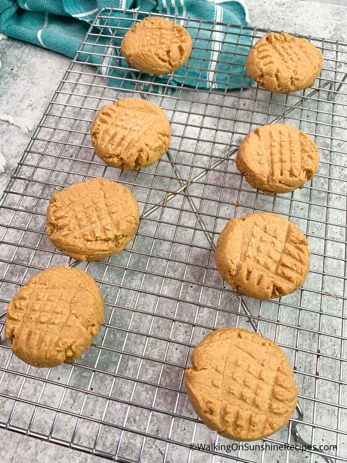 easy peanut butter cookies no flour.