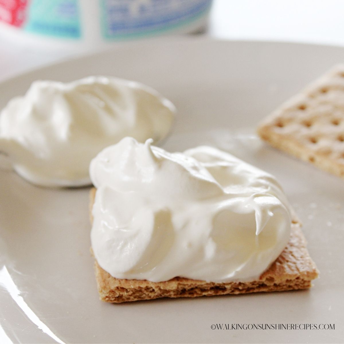 Graham Crackers with Cool Whip.
