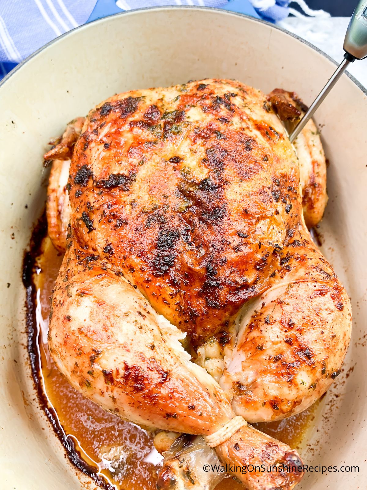 Dutch Oven Whole Chicken - Katie's Cucina