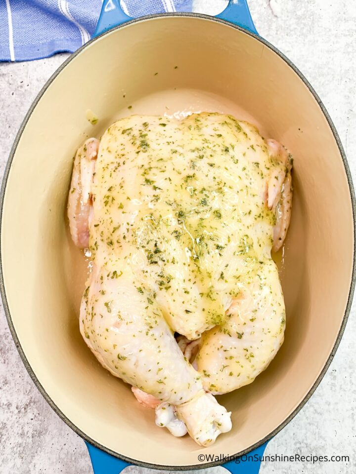 Dutch Oven Whole Chicken - Walking On Sunshine Recipes