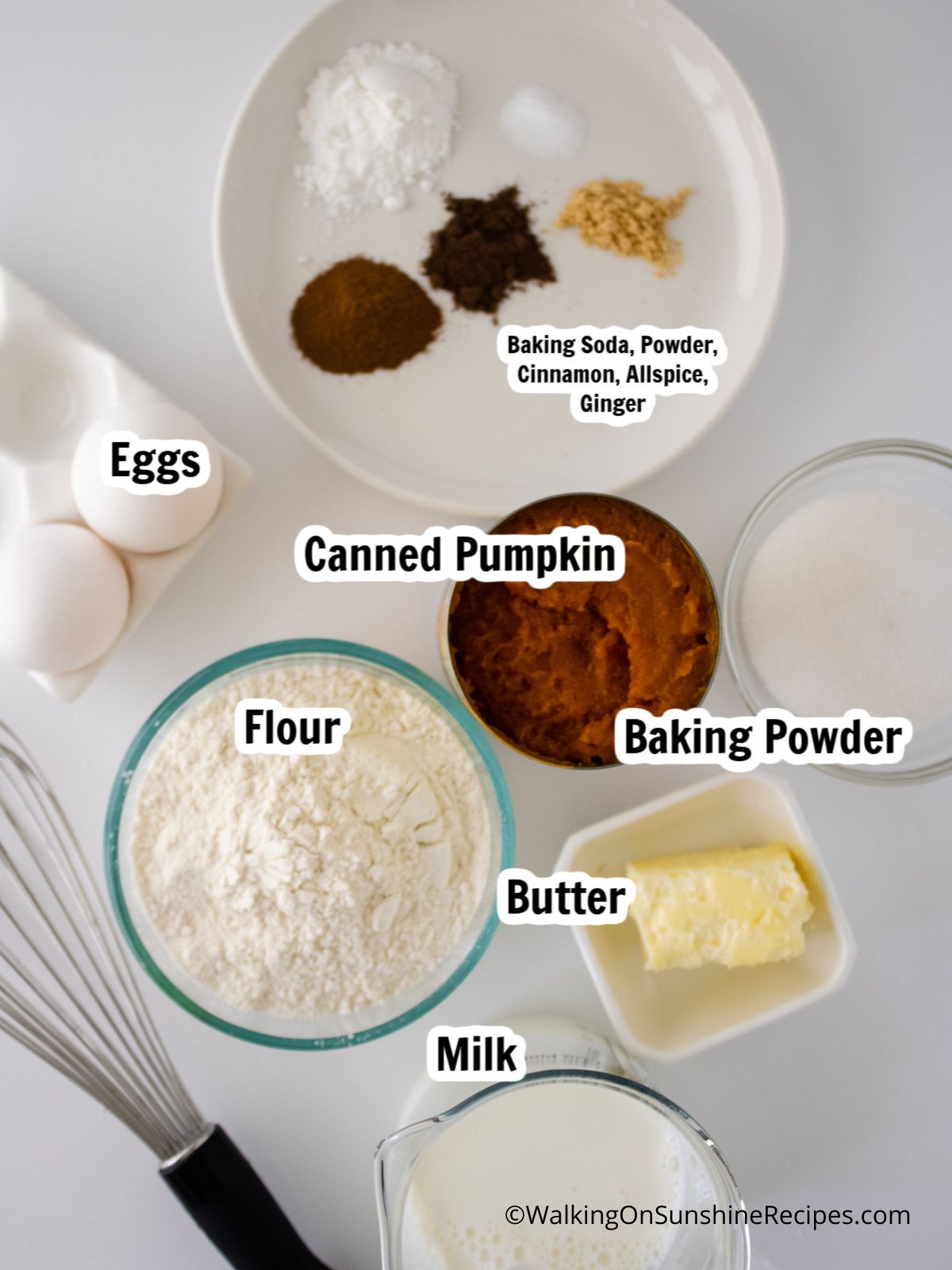 Ingredients for Homemade Pumpkin Pancakes.