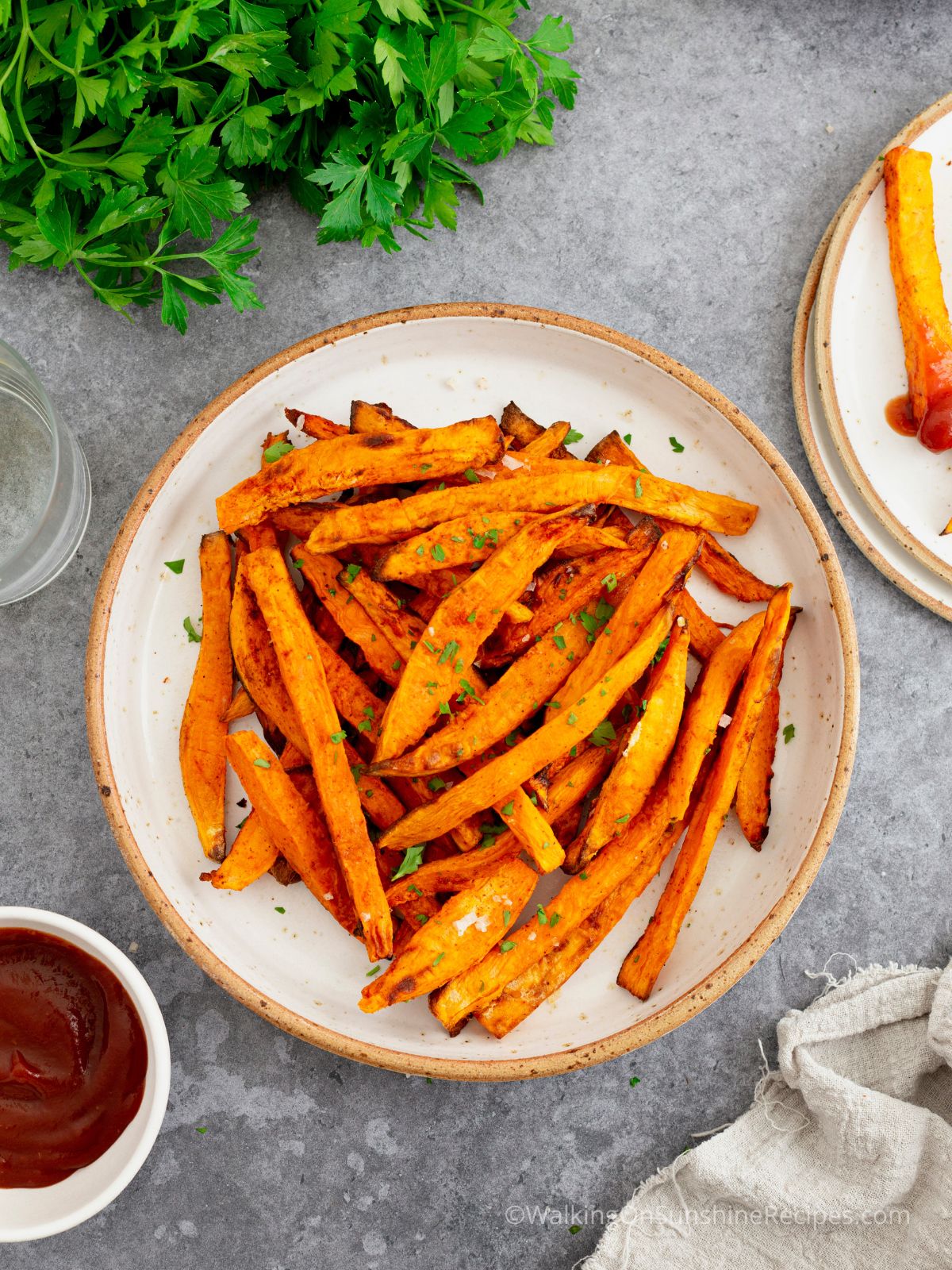 Sweet Potato fries with ketchup in small bowl.