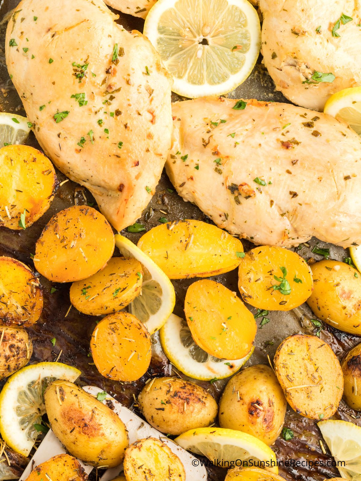 one pan chicken breast and potatoes.