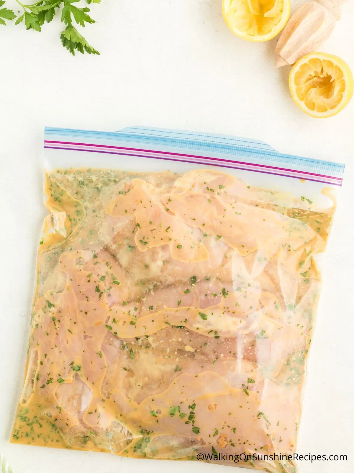 how to freeze chicken and marinade in plasitc gallon storage bag.