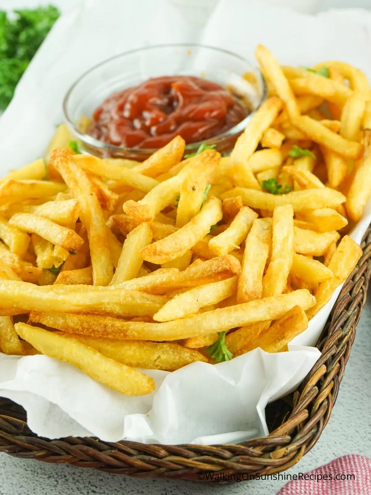 Basket tray of French Fries with bowl of ketchup.