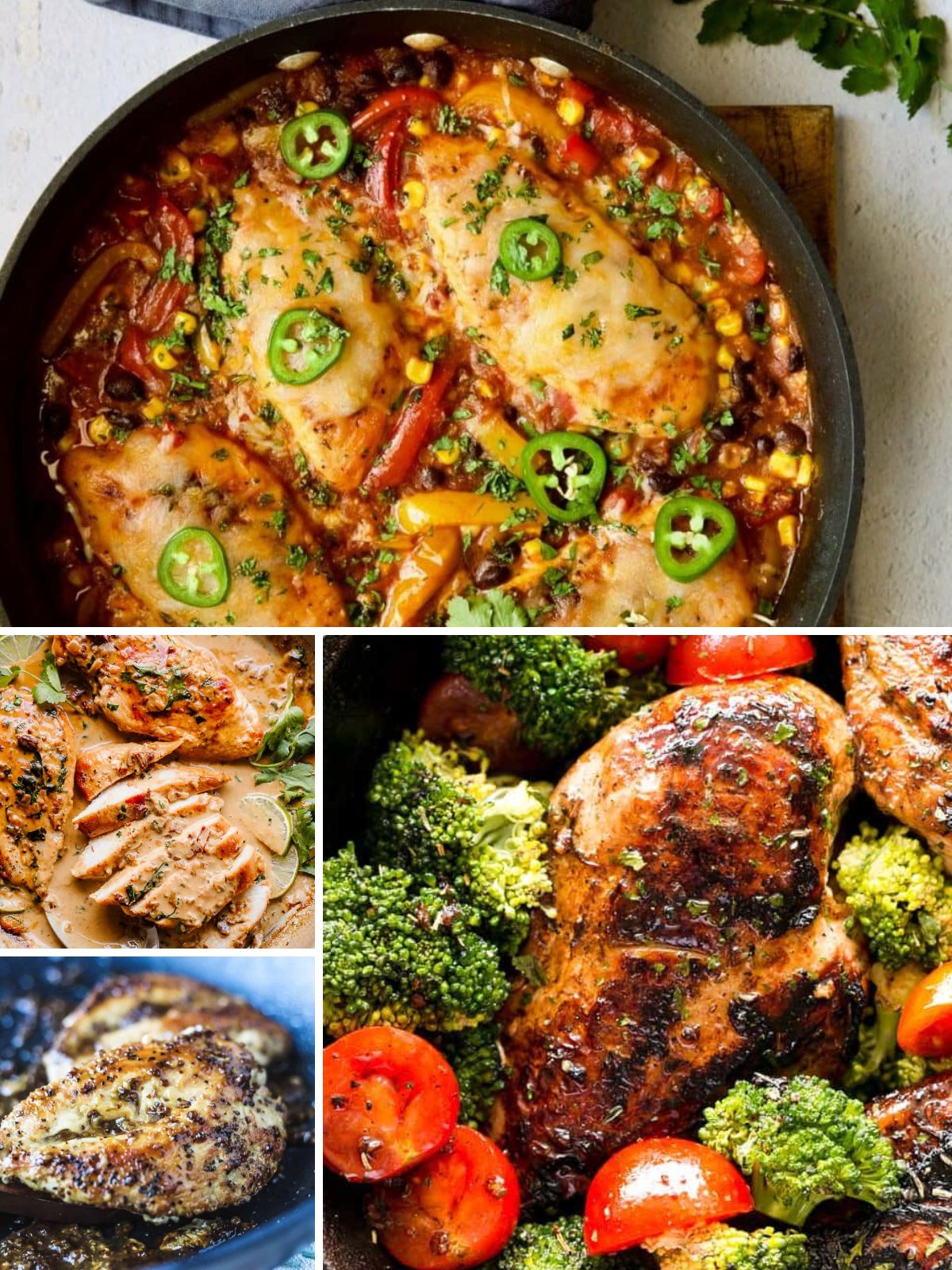 Collection of cast iron chickenk recipes.