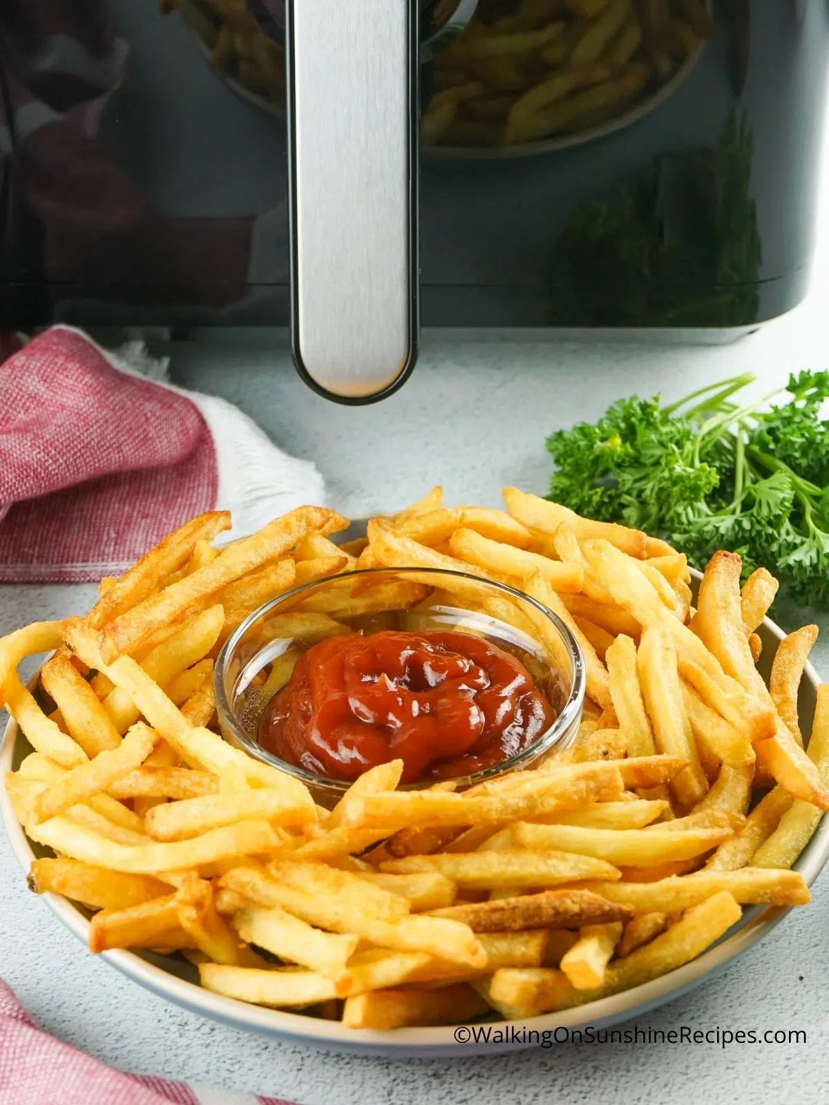 French Fries in bowl in front of air fryer.
