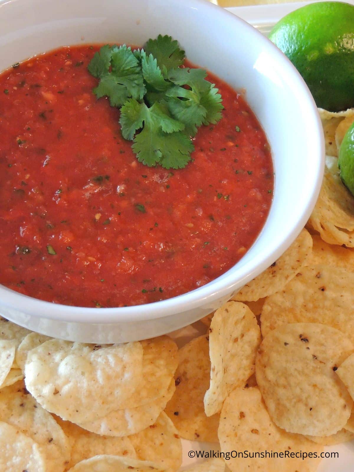 pioneer woman salsa.