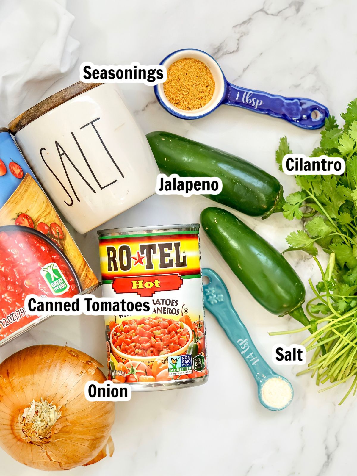 Ingredients for homemade salsa with canned tomatoes.