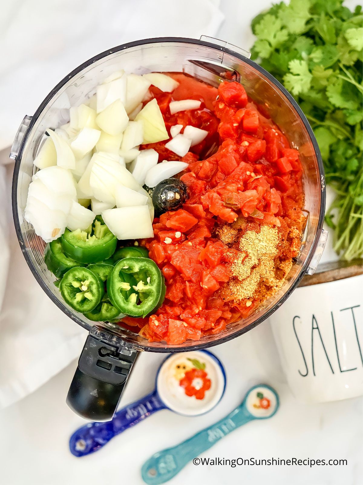 canned tomatoes, jalapenos, onion and seasoning in food processor.