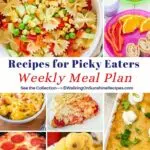 easy recipes for picky eaters.