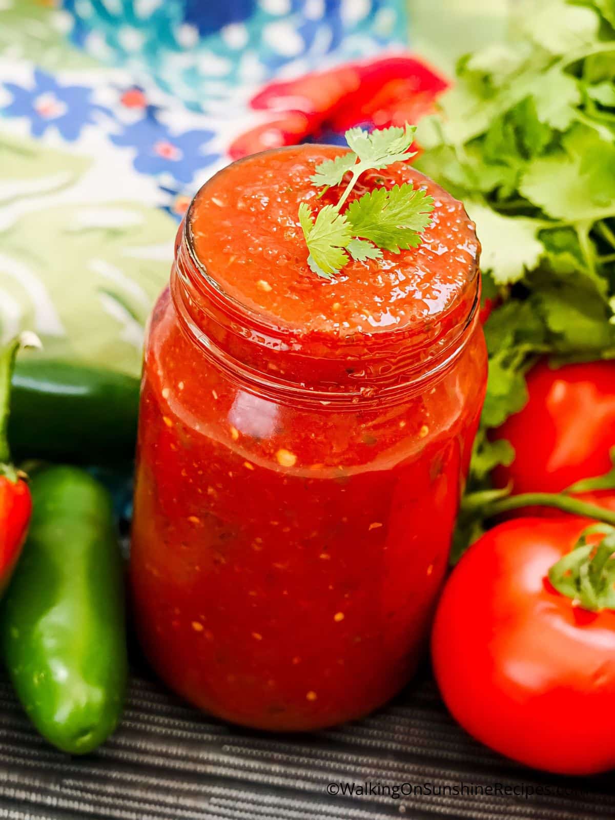 pioneer woman salsa with canned tomatoes.