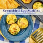 scrambled egg muffins.
