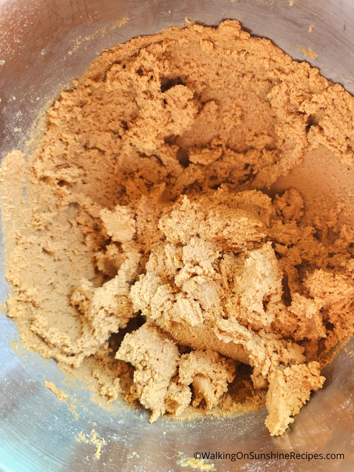Gingerbread Cookie dough combined together.