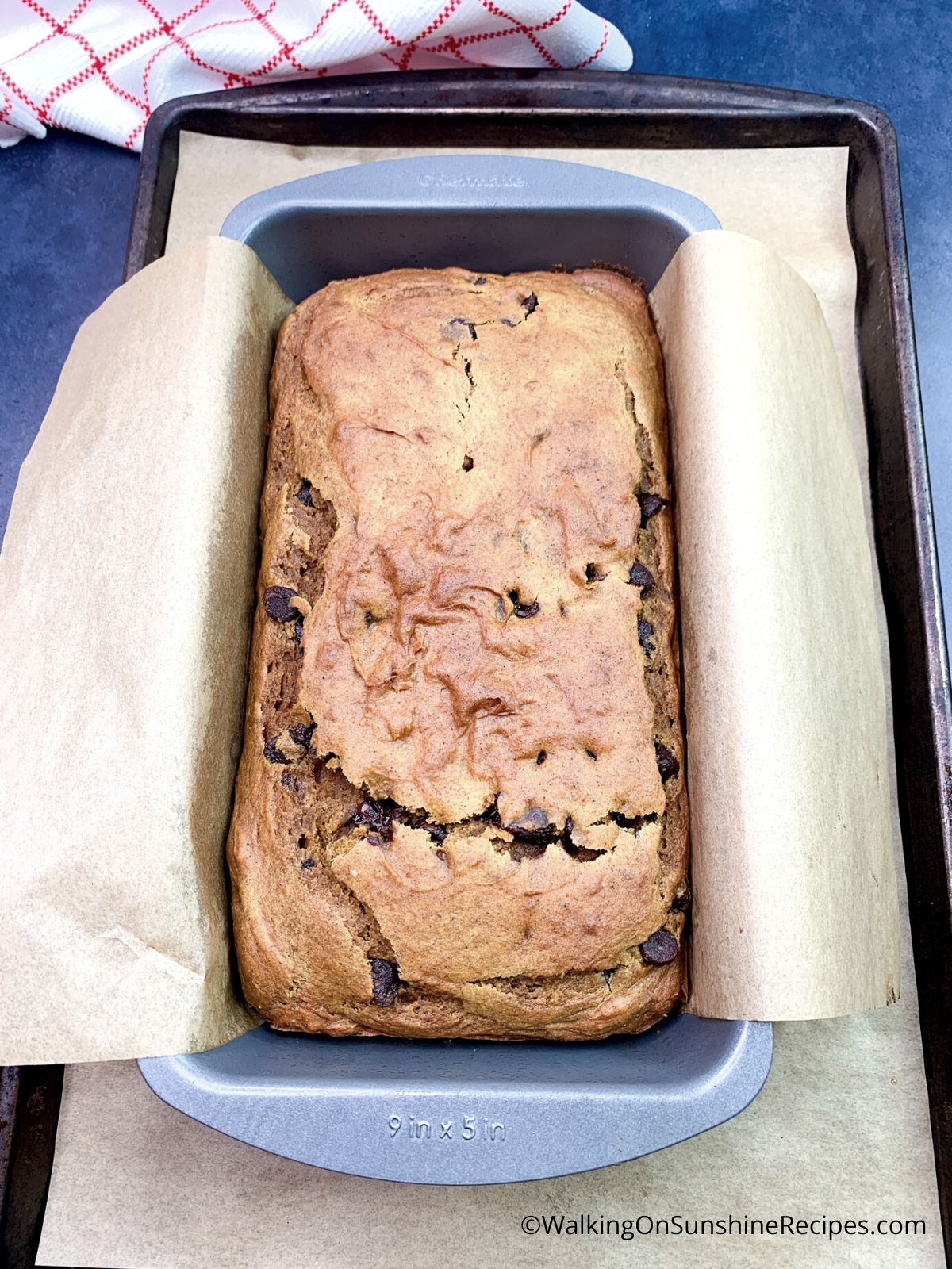 Chocolate chip pumpkin bread baked in loaf pan.