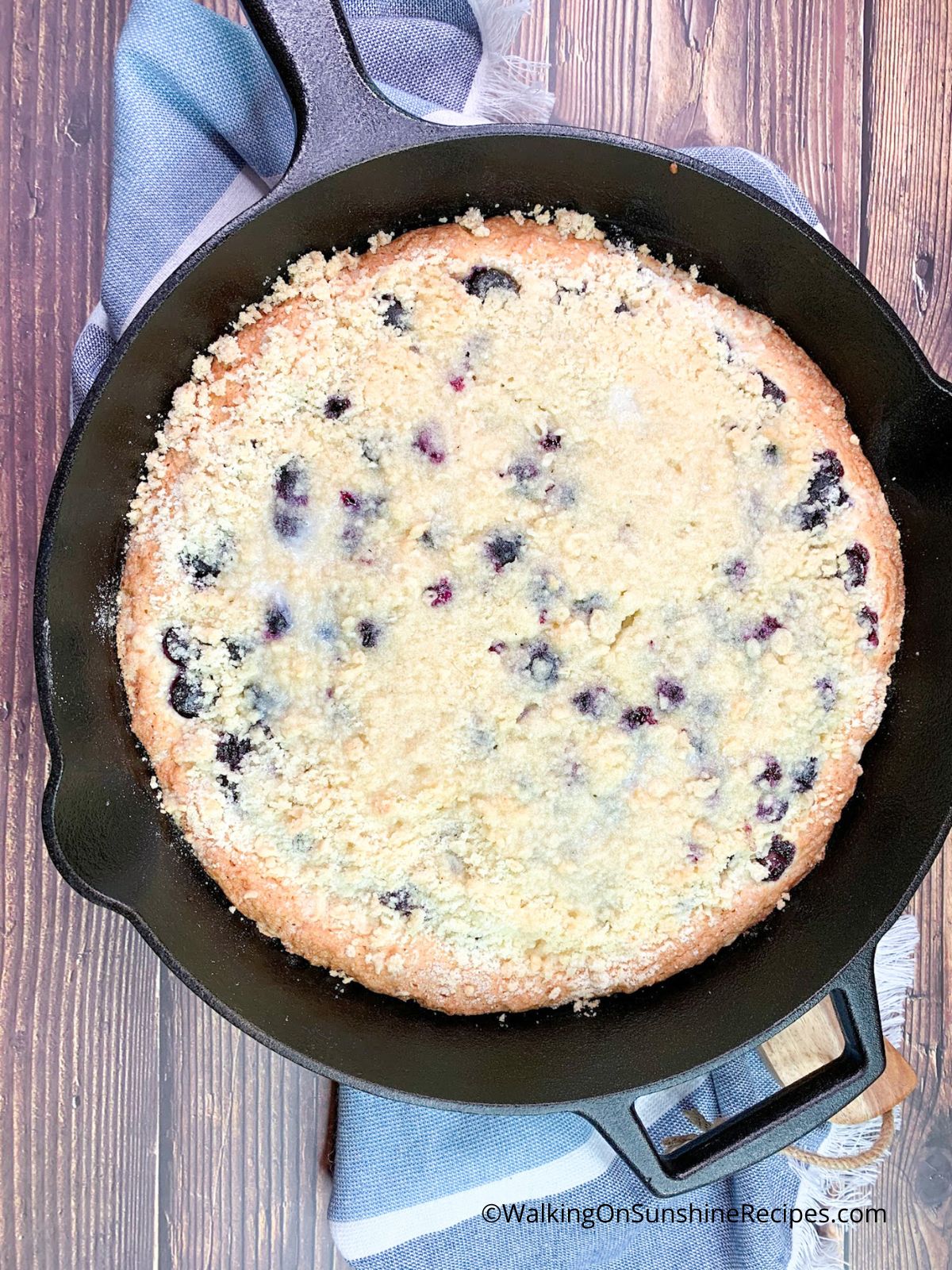 Blueberry Crumb Cake in skillet pan baked.