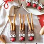 Little Debbie Reindeer Cookies.