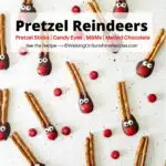 pretzel sticks with chocolate and candy eyes and nose.
