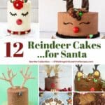 Collection of 12 reindeer cake ideas.