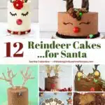 Collection of 12 reindeer cake ideas.