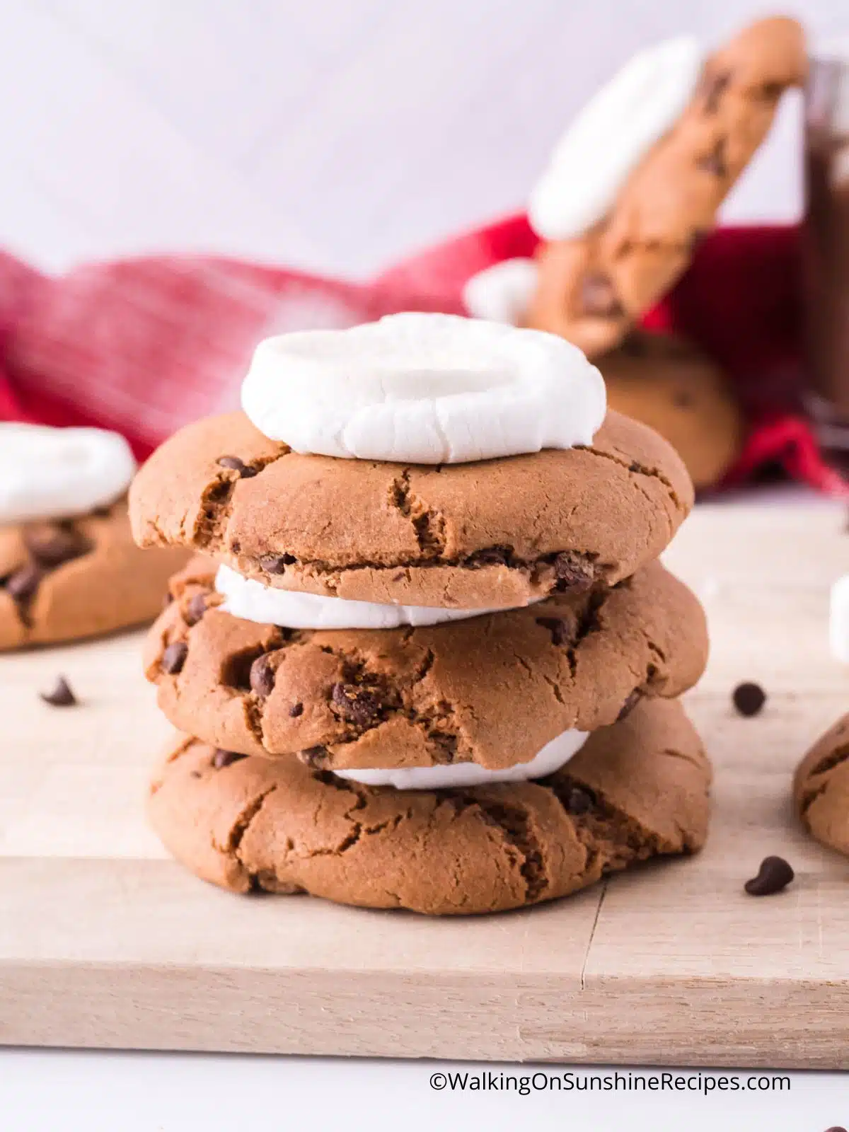 chocolate and marshmallow cookies.