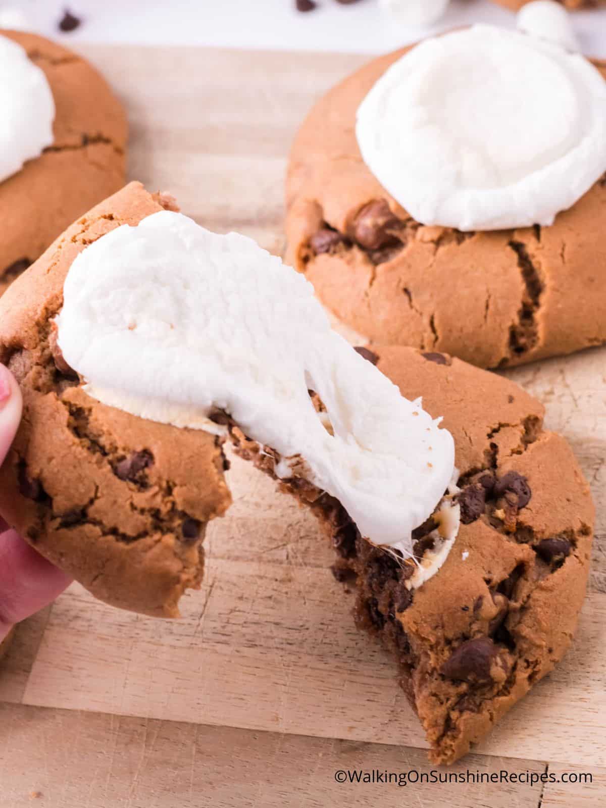 hot cocoa marshmallow cookies.
