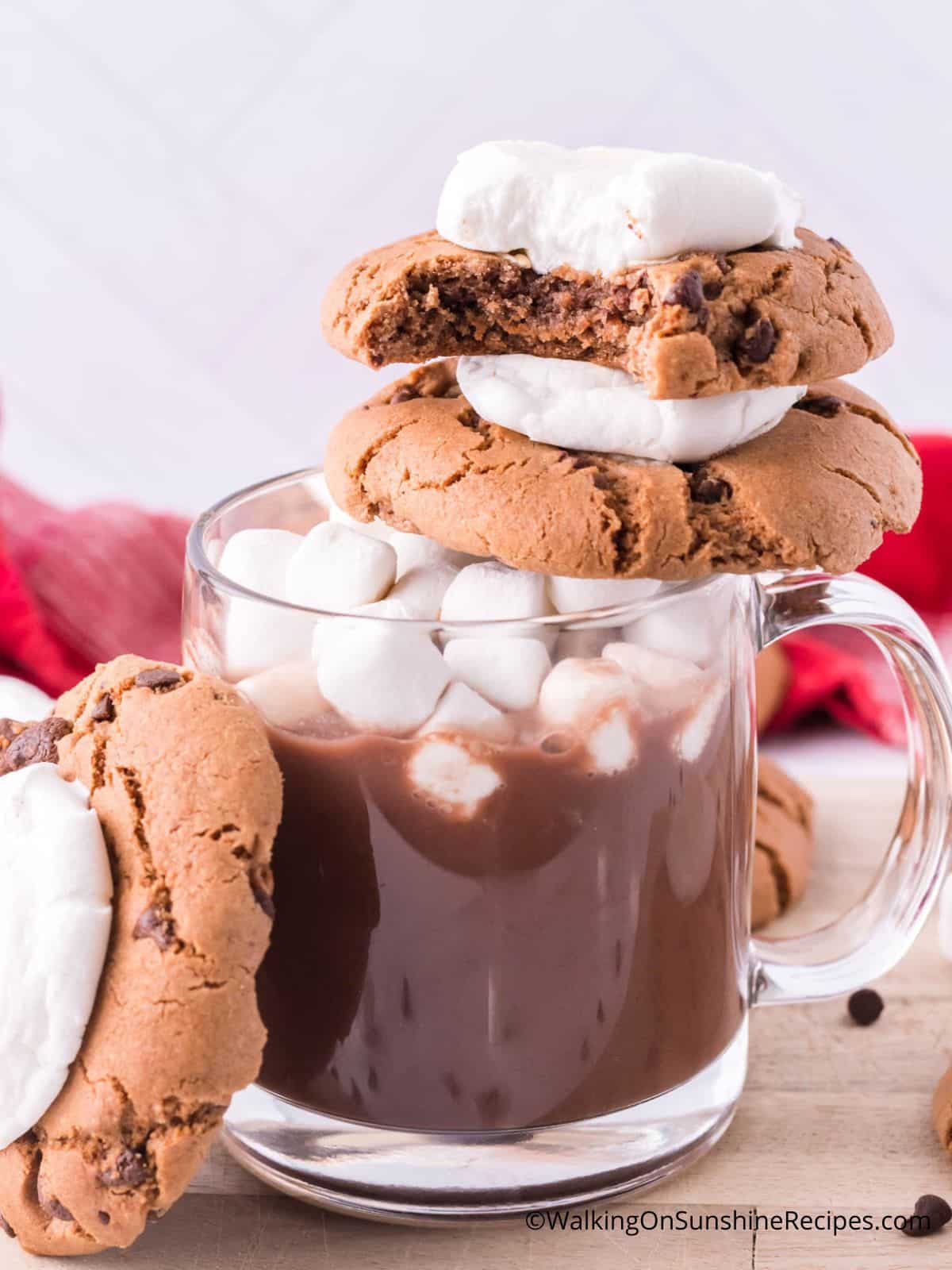 hot chocolate marshmallow cookies.