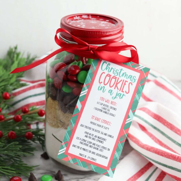 DIY Christmas Cookie Mix in a Jar - Jenny Cookies