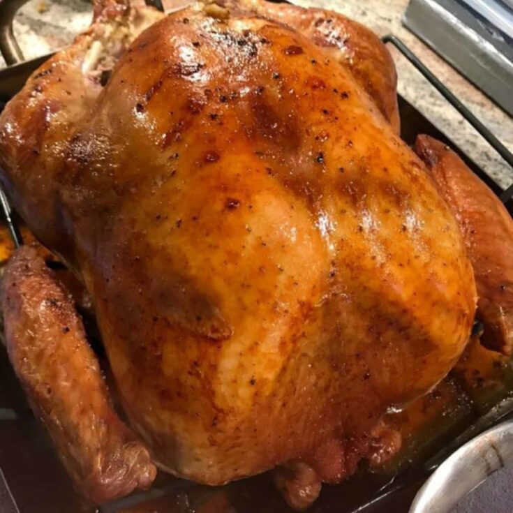 roast turkey in baking pan.
