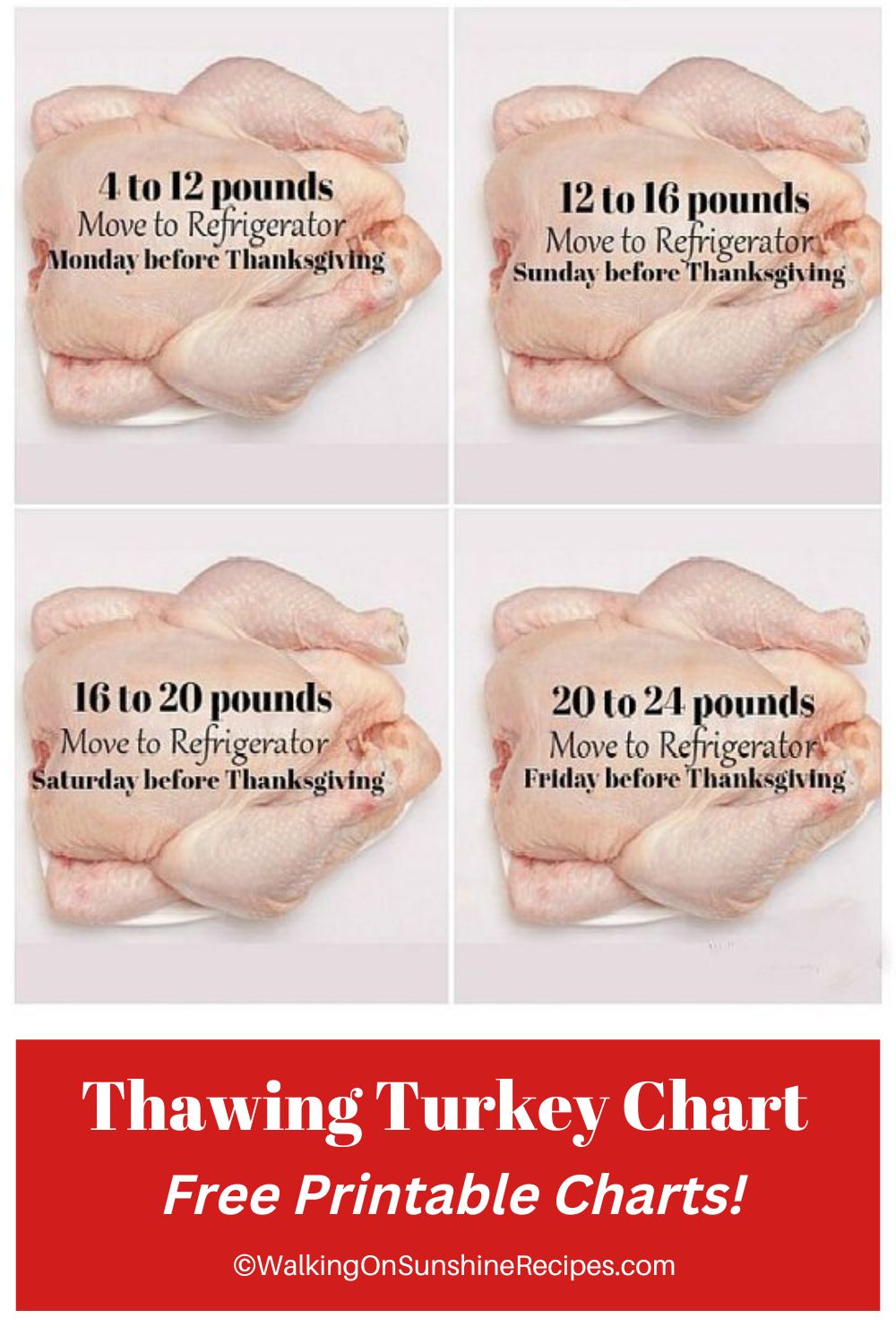 Tips on Thawing a Turkey Safely - Walking On Sunshine Recipes