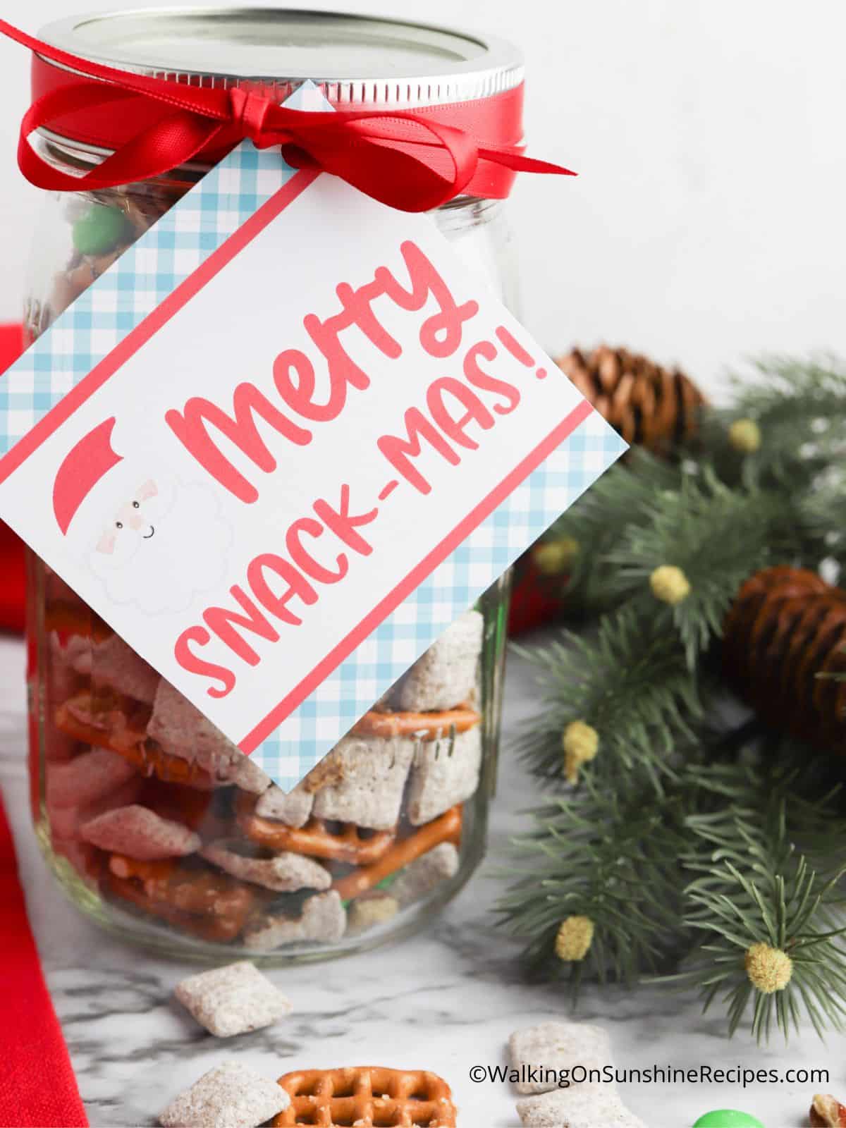 Christmas Snack Mix in a Jar - Walking On Sunshine Recipes