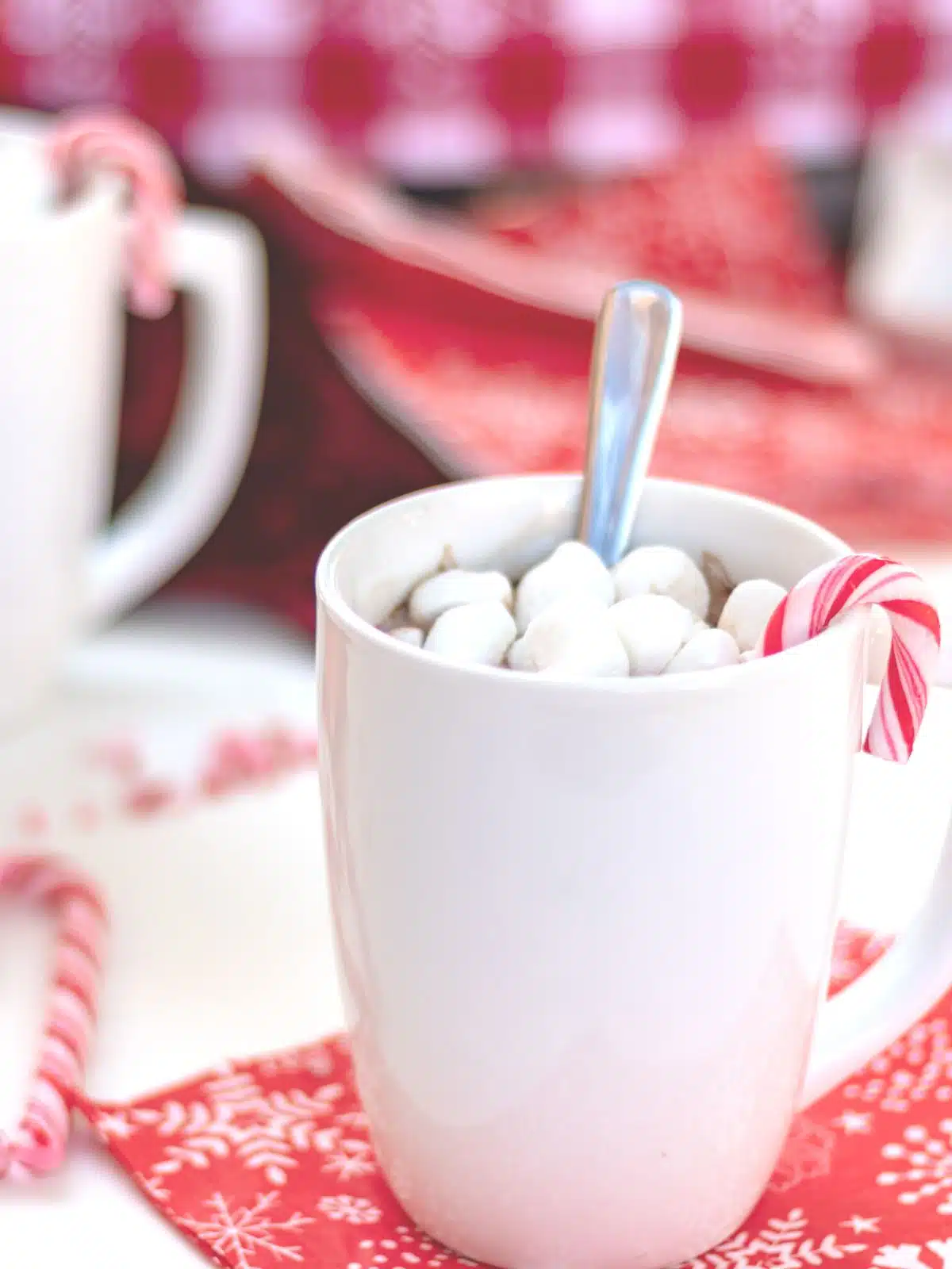 peppermint hot chocolate in mug with candy canes.